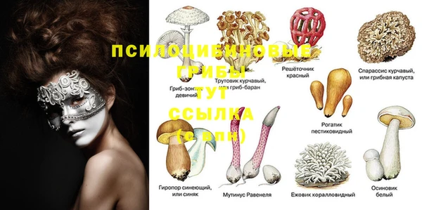 герыч Алексеевка