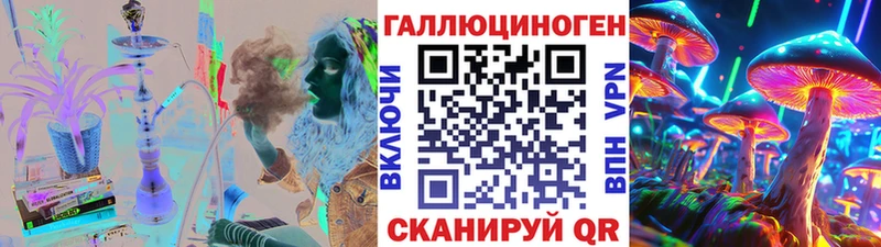 Псилоцибиновые грибы Psilocybe Арамиль